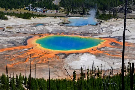 A hydrothermal pond in Yellowstone National Park: an analog site for where life originated? 