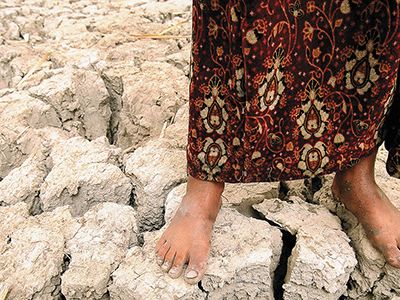 An Iraqi girl stands on former marshland, drained in the 1990s because of politically motivated water policies.