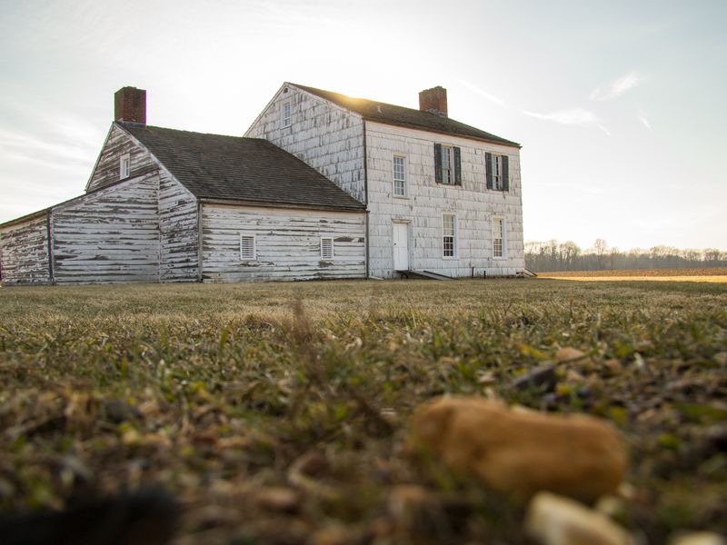 Craig House Smithsonian Photo Contest Smithsonian Magazine