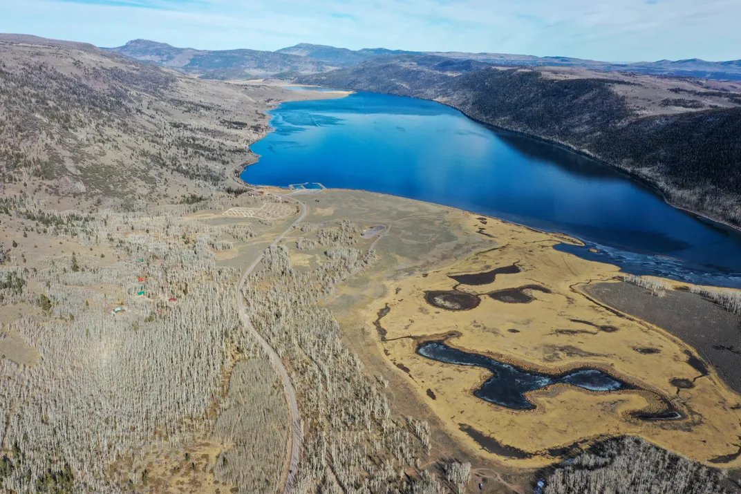 aerial view of Pando