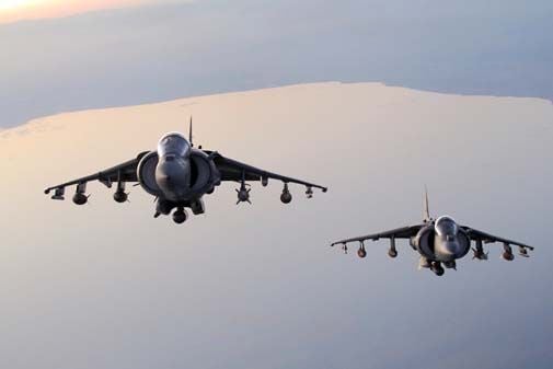 Harriers-505.jpg