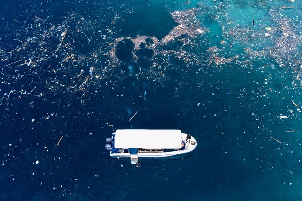 Garbage Diving thumbnail