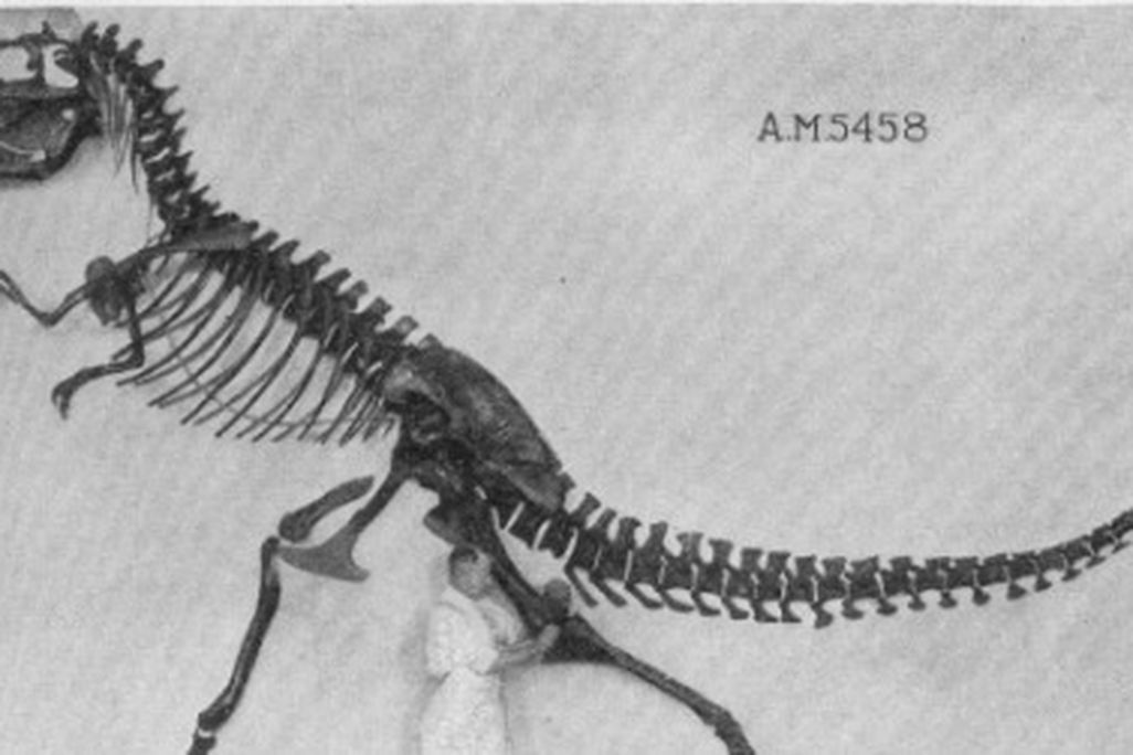 The Tyrannosaurus in Fantasia