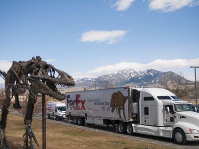 A FedEx truck carrying the Wankel T. rex skeleton departed Bozeman, Montana, on Friday for the National Museum of Natural History in Washington, D.C. A bronze cast of the 65-million-year-old skeleton outside the Museum of the Rockies looks on in the foreground.