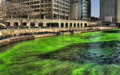 A high resolution photo of the Chicago River on St. Patrick’s Day