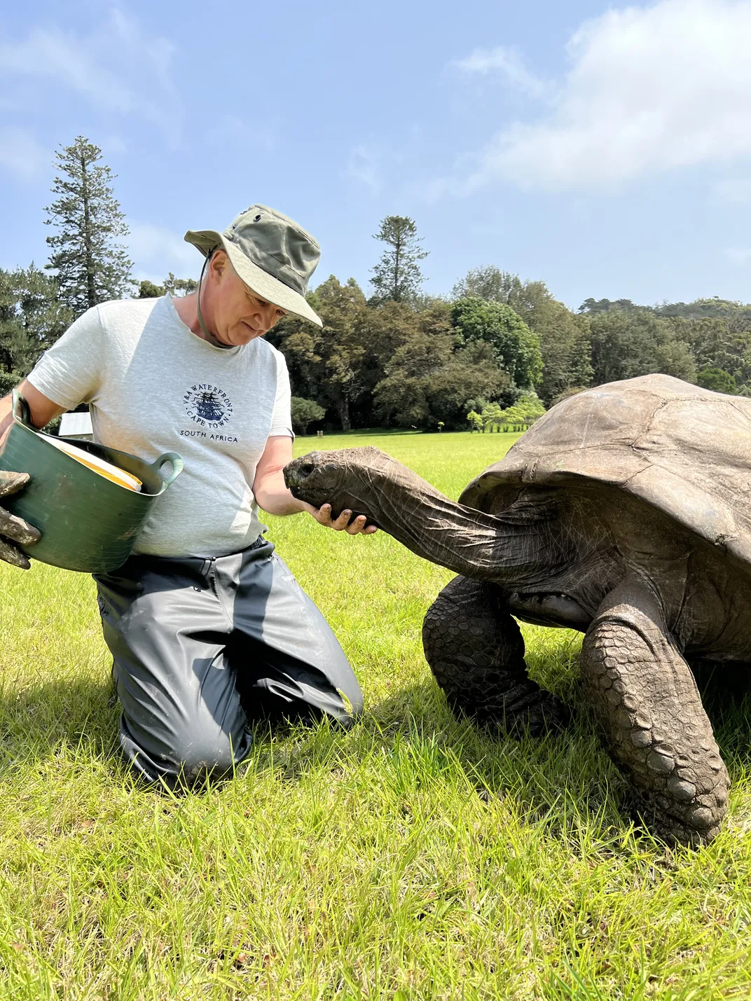 a man in a sun hat kneels in front of a giant tortoise and cups a hand under his chin