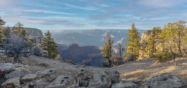 Morning Light Over the Canyon thumbnail