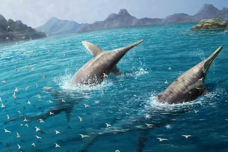 An artist's rendering of two massive Ichthyotitan severnensis&mdash;a newly discovered species&mdash;swimming in the open ocean some 200 million years ago.