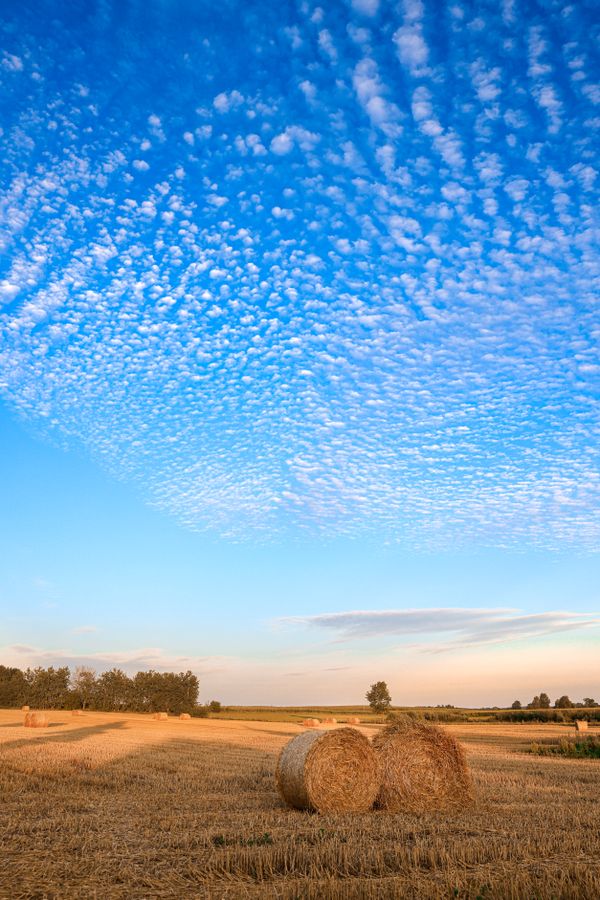 Masurian Fields thumbnail