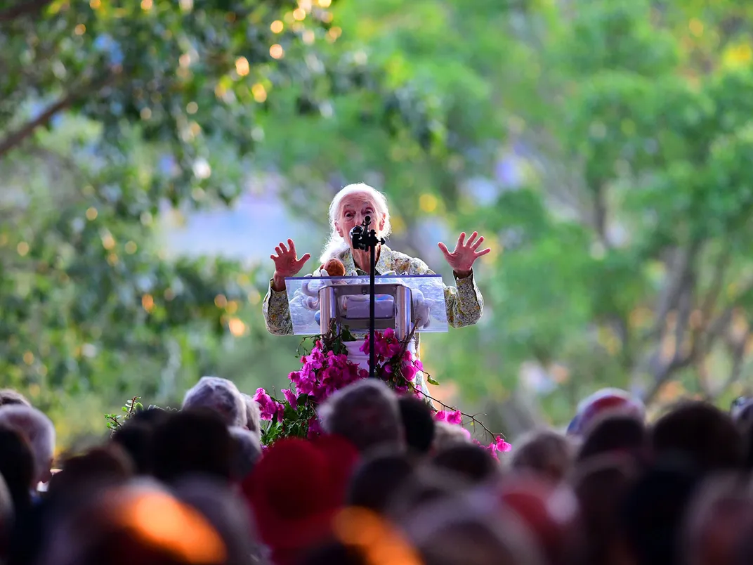 Jane Goodall Speaking