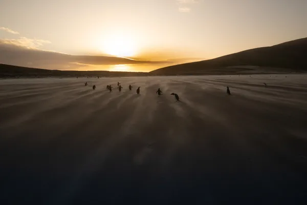 Returning home thumbnail