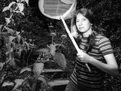 When STRI staff scientist Annette Aiello first arrived in Panama to study butterflies in 1976, she lived and worked at the Smithsonian research station on Barro Colorado Island. Credit: STRI Archives.