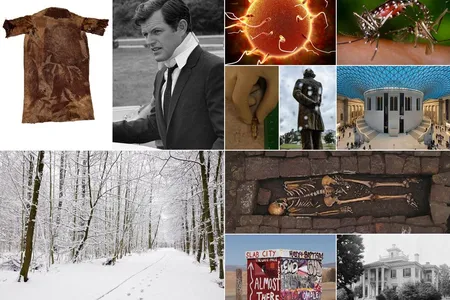 (Mårten Teigen, Museum of Cultural History; Associated Press; Stocktrek Images, Inc. / Alamy; CDC / James Gathany; Philippe Charlier; Brian Palmer; David Iliff via Wikimedia Commons under CC BY-SA 3.0; Alamy; Pasini et al. / World Neurosurgery / Elsevier; Donovan Wiley; Library of Congress)