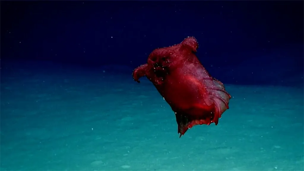 antarctic.jpg