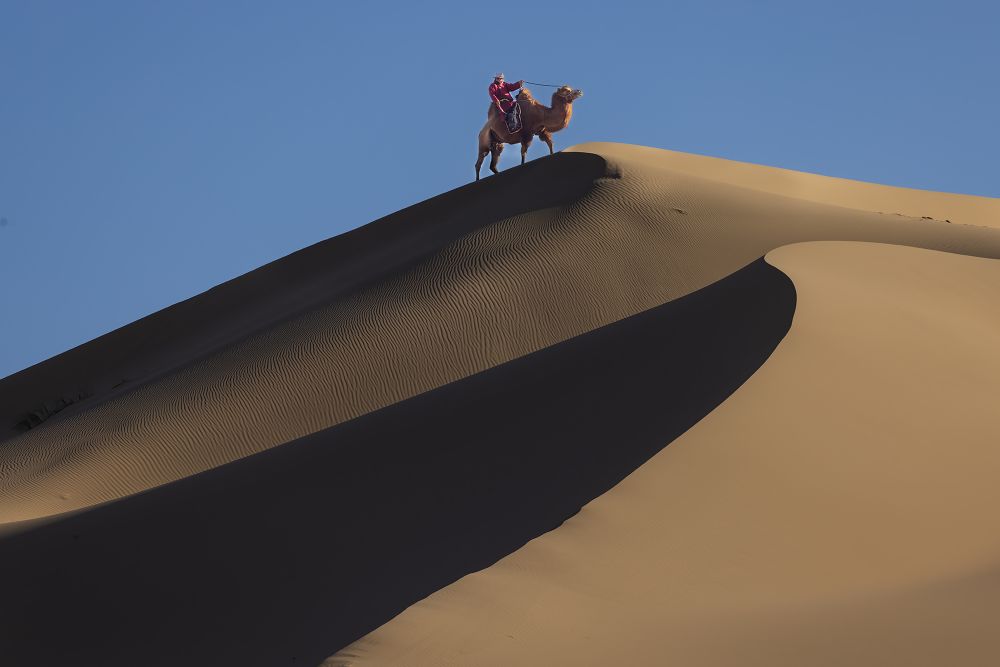 I was photographing camel herders in the Gobi Desert when the featured camel herder reached the pinnacle of this dune.