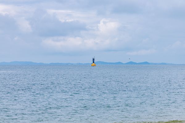 The Yellow Silence thumbnail