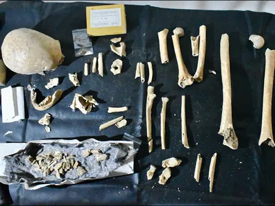 Archaeologists found the bishop's remains in a tomb in Spain in 1955.