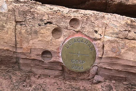 Many boundaries between geologic eras are marked by physical golden spikes. This one, in South Australia, marks the end of the Ediacaran period, 635 million years ago.