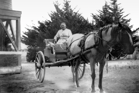 The only available photograph of America Newton, a formerly enslaved woman who ran a laundry business out of her cabin in Julian, California, dates to around 1910.