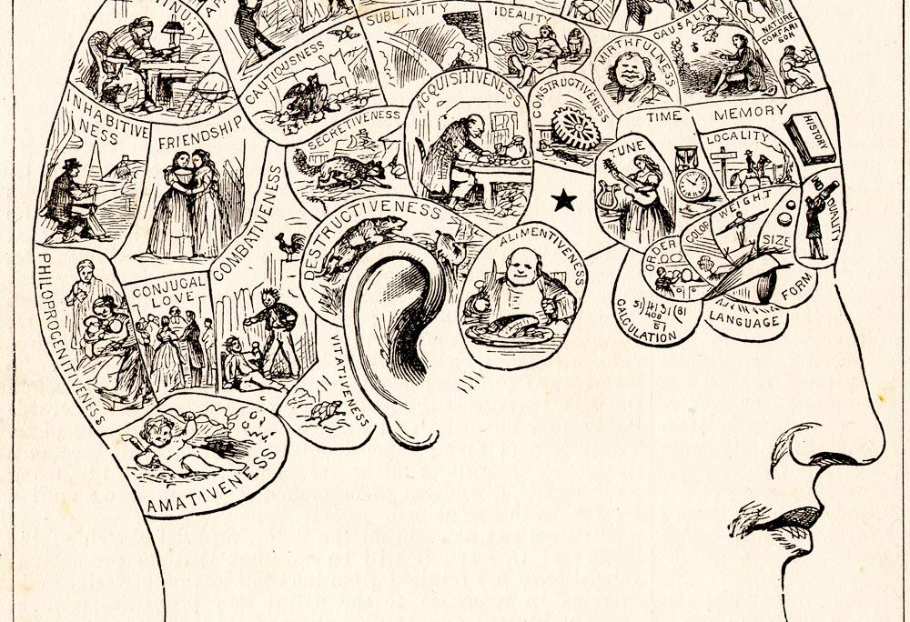 A typical 19th-century phrenology chart