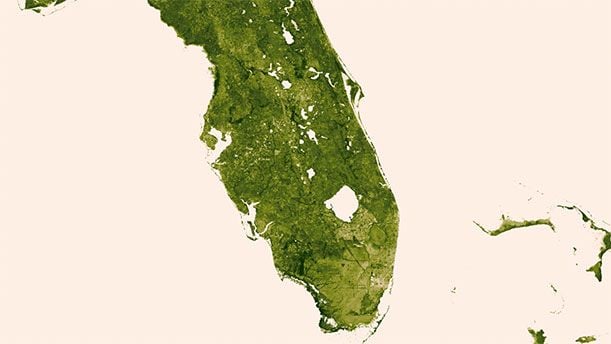 This view of Florida shows the state’s leafy landscape.