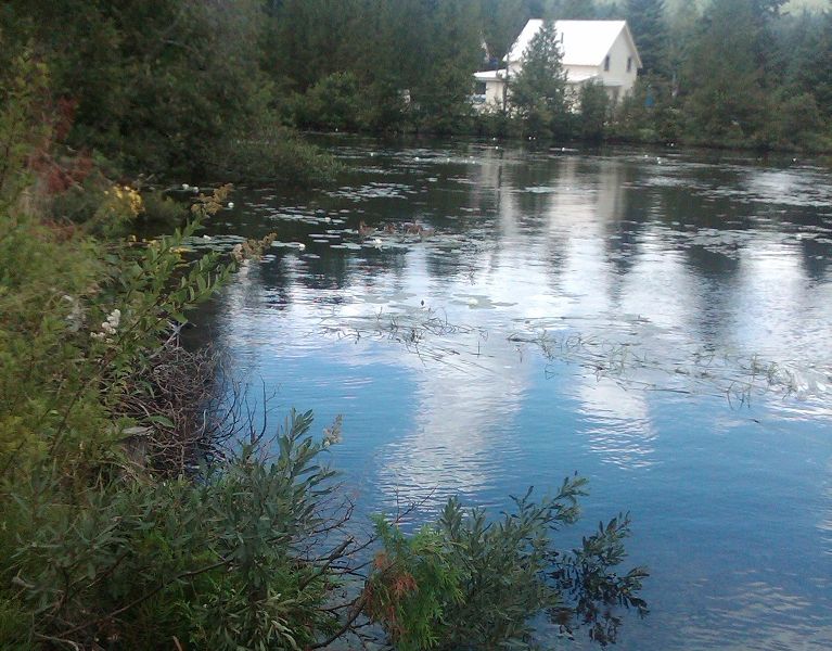 Point Comfort Cabins, Joe's Pond, Danville, VT Smithsonian Photo