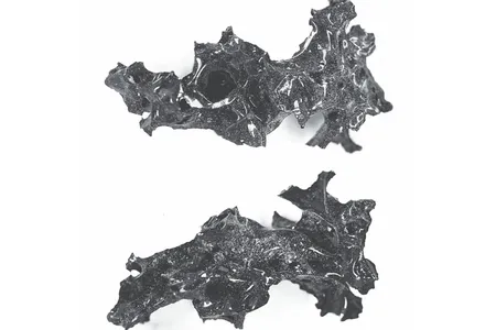 A shiny black fragment found within the victim’s skull likely represents remnants of the man’s brain, which was subjected to such searing heat that it turned into glass.
