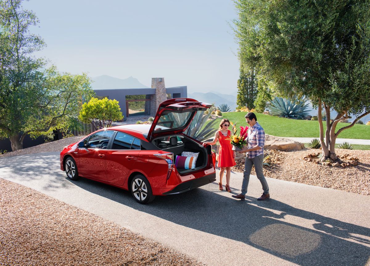 Trunk Ledge Kit | 2018 Toyota Prius