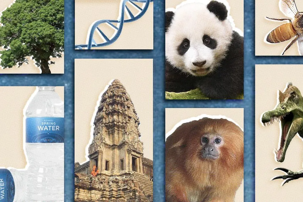 50 Things collage (main longform)