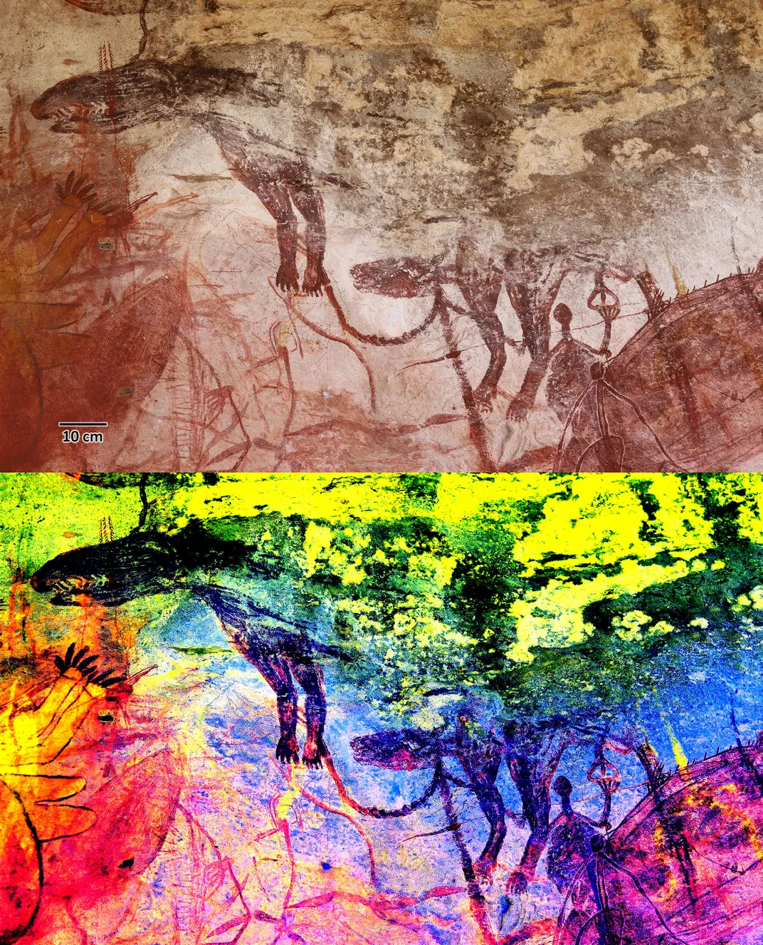 Rock art depicting a thylacine