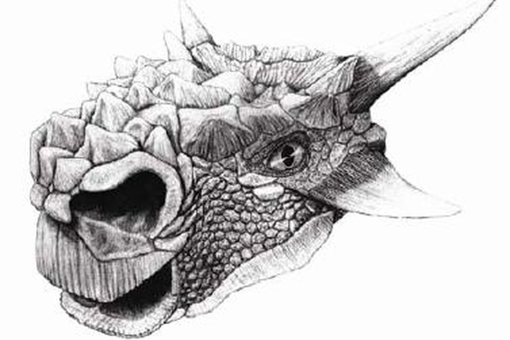 20110520083116minotarasaurus.jpg