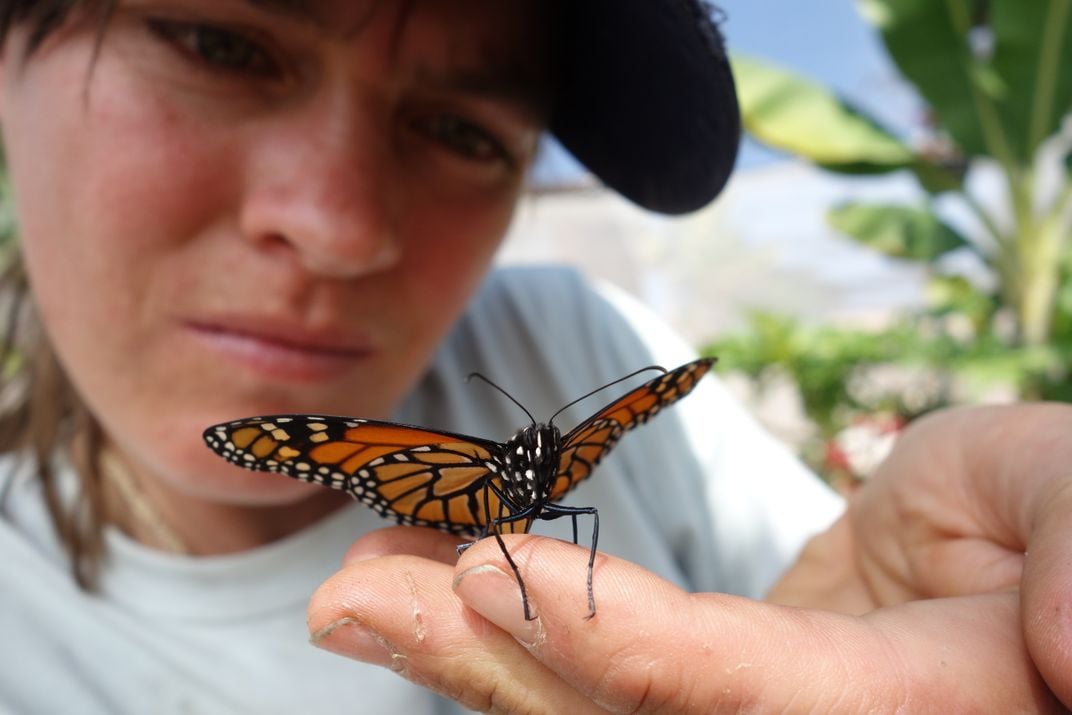 What I Learned Biking the 10,000-Mile Migration Route of Monarch Butterflies