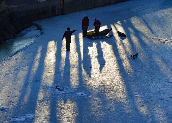 Morning Shadows thumbnail