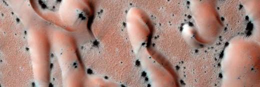 Defrosting dunes in the north polar region of Mars