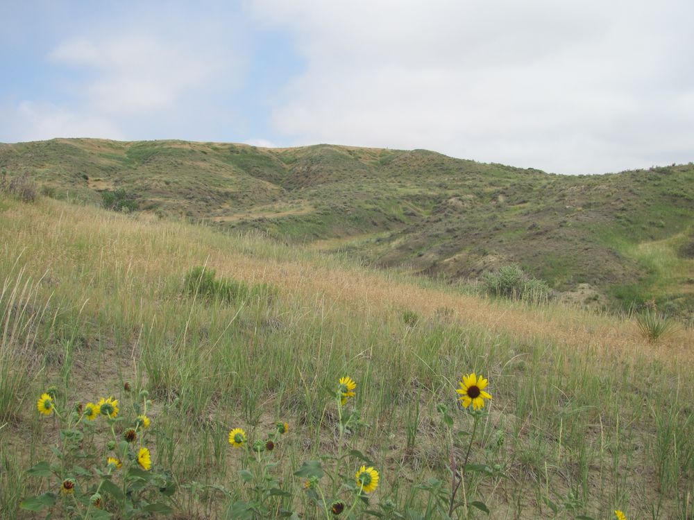 West Bijou Site