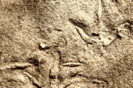 Fossilized&nbsp;Trisauropodiscus&nbsp;tracks from more than 210 million years ago (marked with 4 cm scale) compared to modern bird tracks from March 2018 (marked with 3 cm scale)