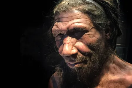 Though the differences between Neanderthals and Homo sapiens may seem pronounced, scientists didn't always embrace the idea that humans evolved from other species.