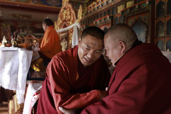 Head-to-head courtesy 1 thumbnail