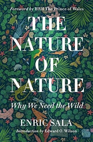 Preview thumbnail for 'The Nature of Nature: Why We Need the Wild