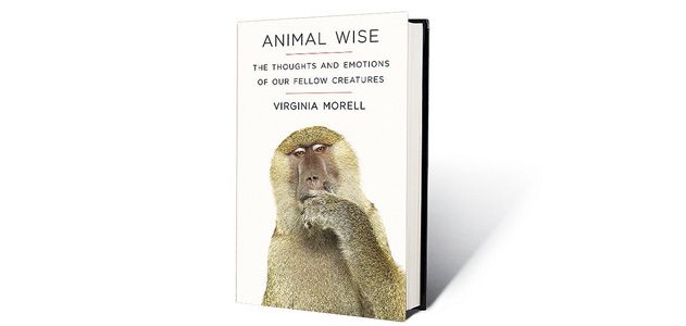 Animal Wise: The Thoughts and Emotions of Our Fellow Creatures