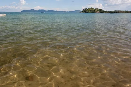 Lake Malawi formed in a valley where the African tectonic plate is the process of splitting in two.