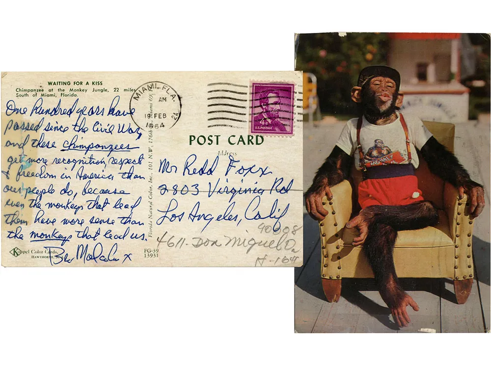 Malcolm X Postcard