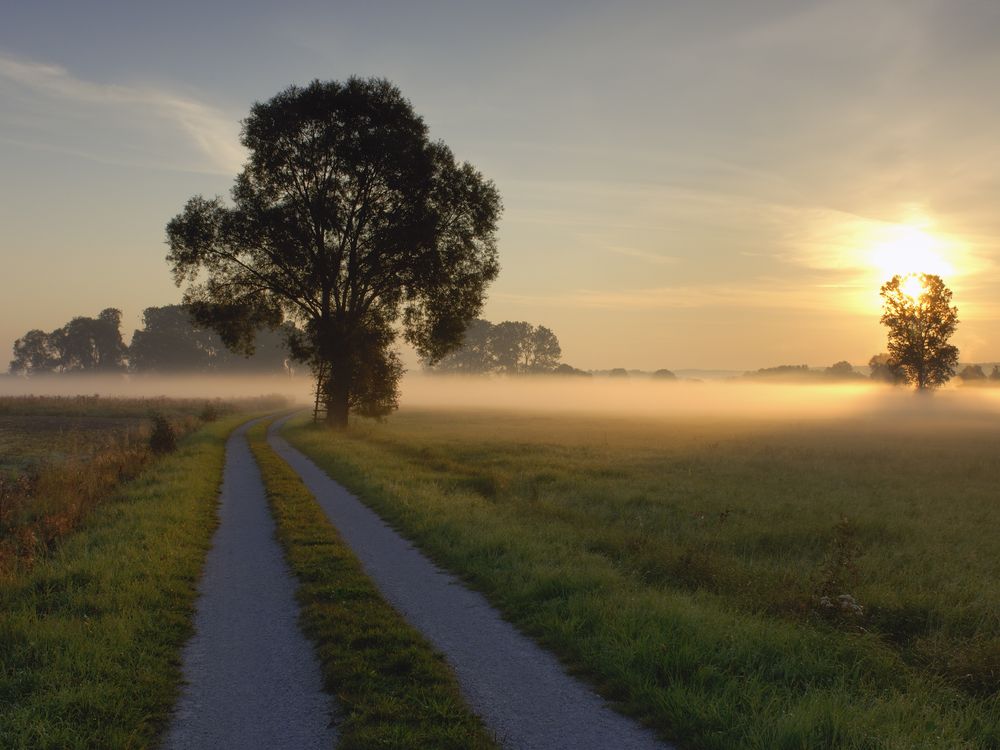 lovely road