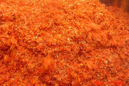 Raw tomato pomace begins Ford's process.
