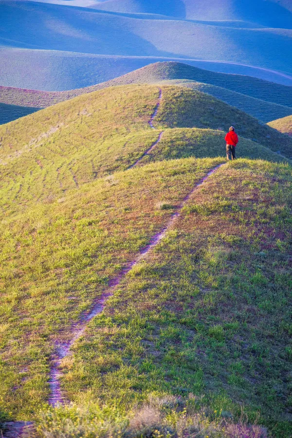 Steps Into the Distance thumbnail
