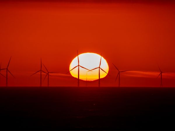 Setting between the blades thumbnail