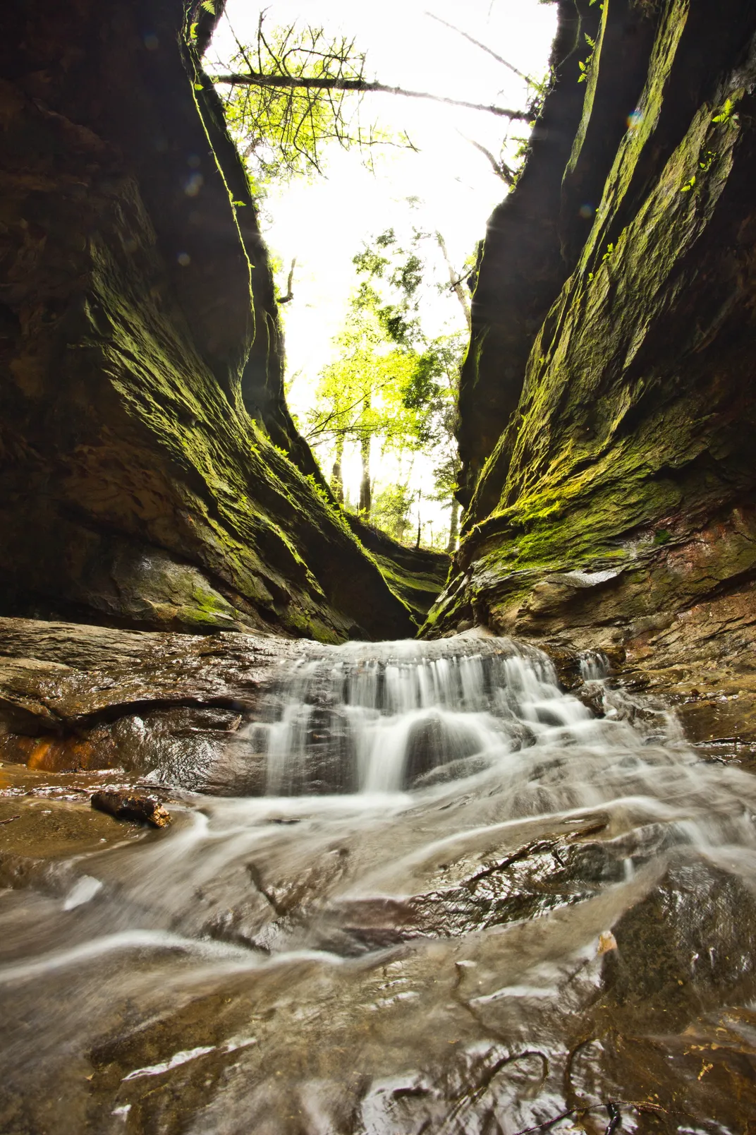 Taken at Turkey Run State Park, IN. Smithsonian Photo Contest