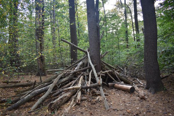 A Tee-Pee made out of branches thumbnail