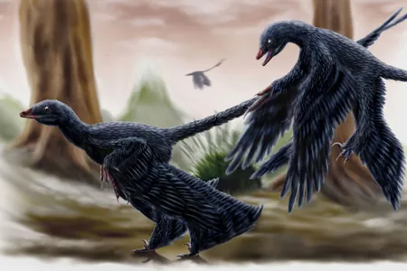 Microraptors, dandruff and all.