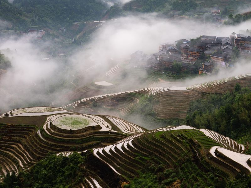 Longji Rice Terraces | Smithsonian Photo Contest | Smithsonian Magazine